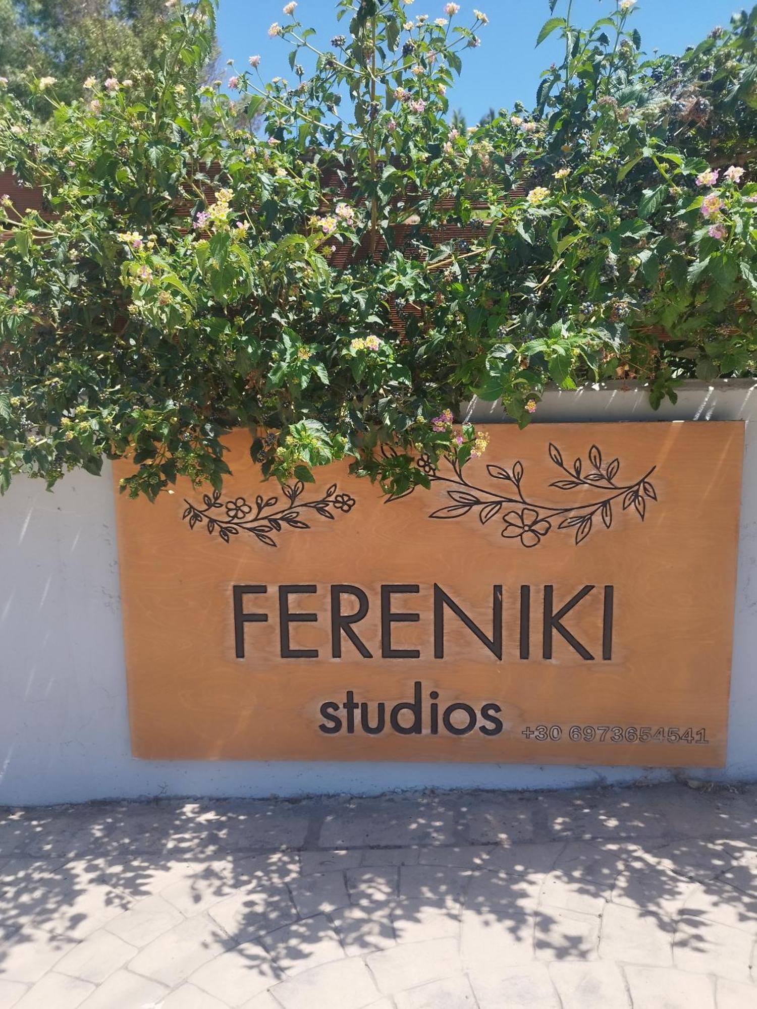 Fereniki Studios Plati  Dış mekan fotoğraf